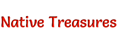 Native treasures banner
